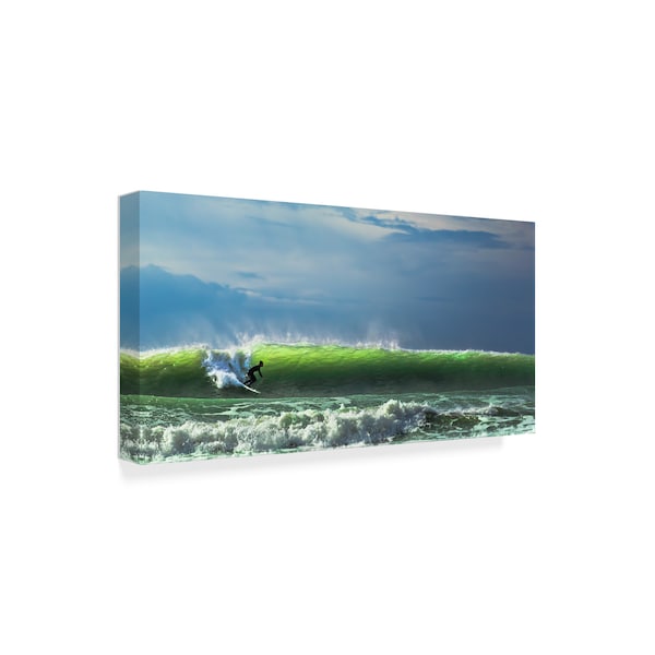 Massimo Mei 'Catch The Wave' Canvas Art,16x32